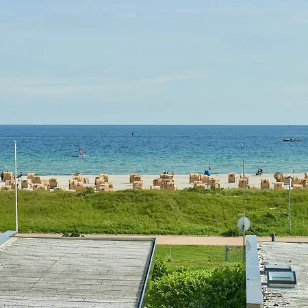 Stranddistel 7 Ostseezauber Burgtiefe auf Fehmarn